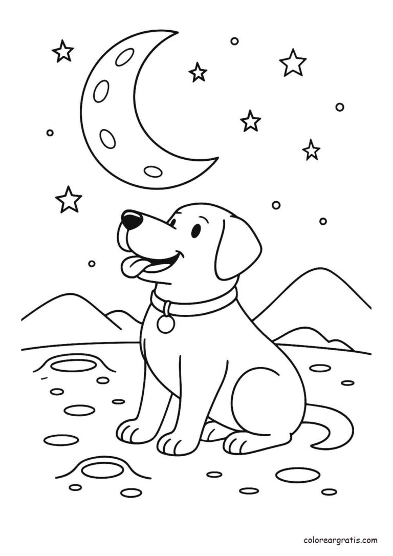 Dibujo de un labrador sentado bajo la luna en una noche estrellada para colorear