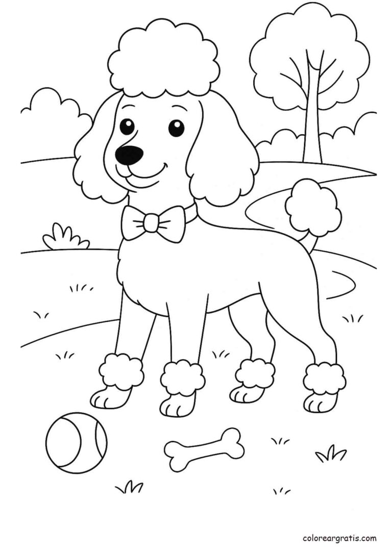 Dibujo de un poodle elegante con lazo para colorear